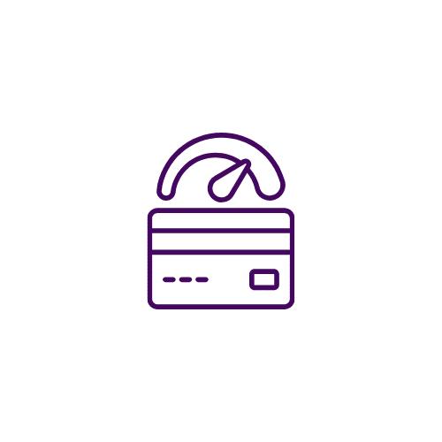 Credit Limit Icon